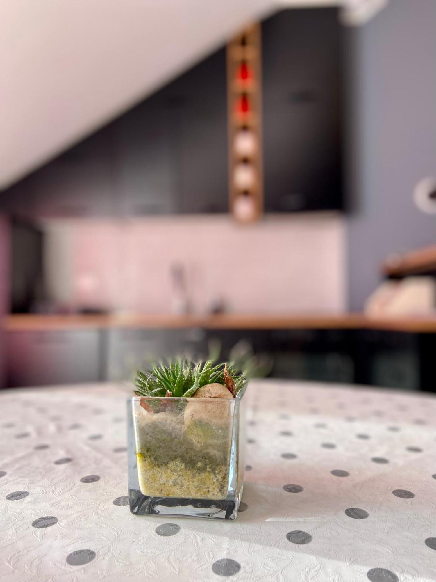 Banicevic Apartmani Дженовичи Экстерьер фото